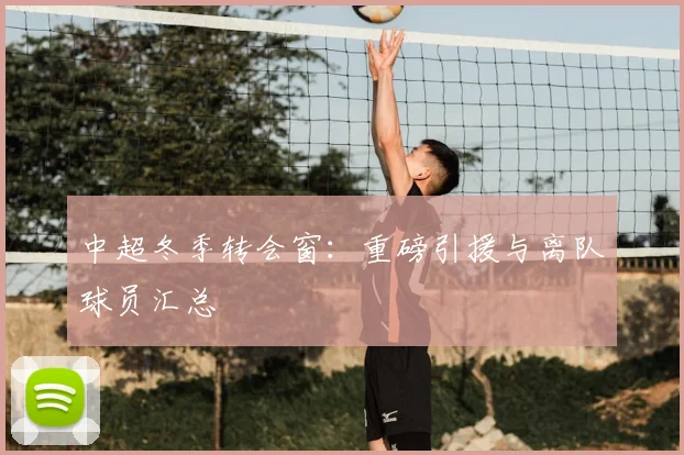 中超冬季转会窗：重磅引援与离队球员汇总