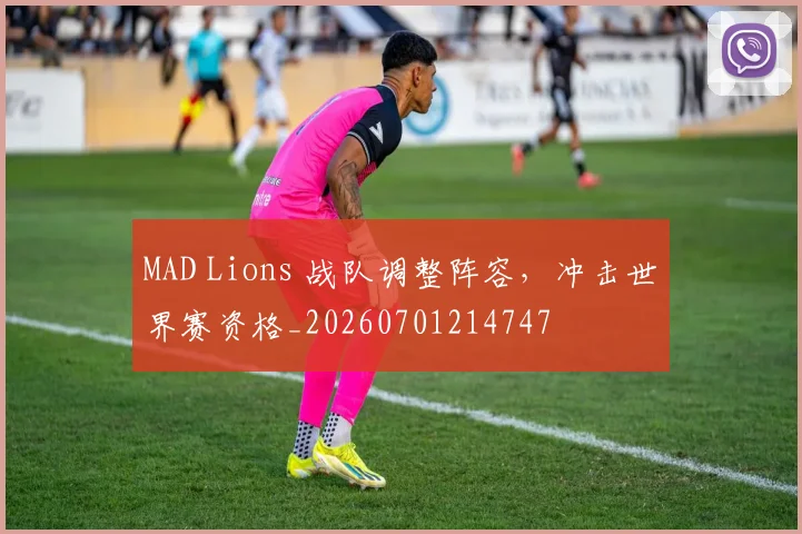 MAD Lions 战队调整阵容，冲击世界赛资格_20260701214747