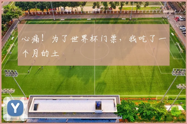 心痛！为了世界杯门票，我吃了一个月的土