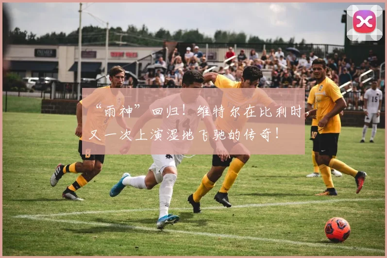 “雨神”回归！维特尔在比利时，又一次上演湿地飞驰的传奇！