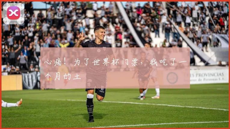 心痛！为了世界杯门票，我吃了一个月的土
